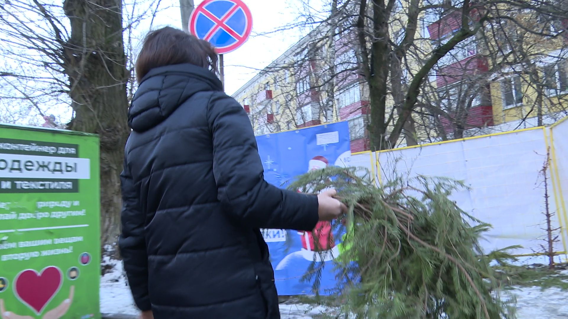 реутов, вертикалки, сбор елок, утиль, переработка, вторая жизнь елке,