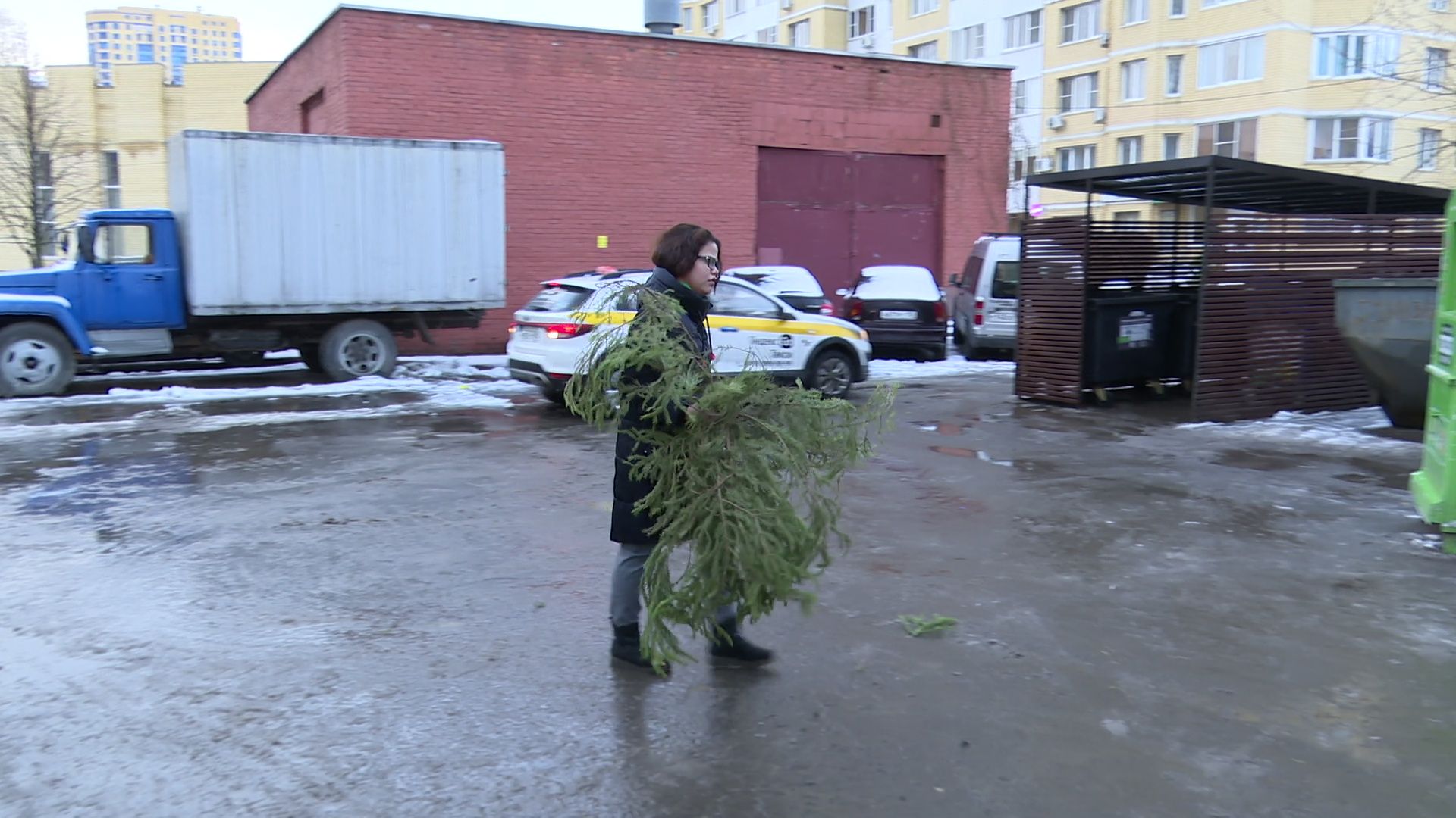 реутов, вертикалки, сбор елок, утиль, переработка, вторая жизнь елке,