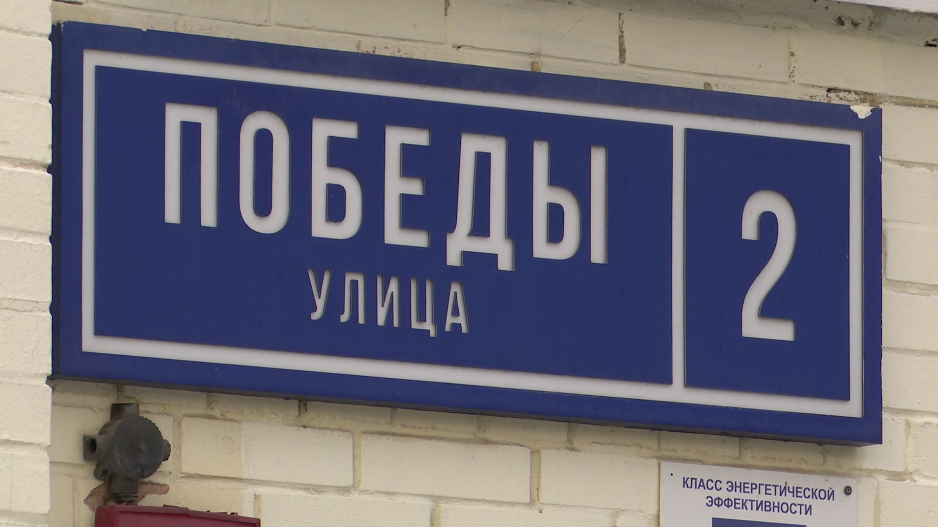 реутов, вертикалки, сбор елок, утиль, переработка, вторая жизнь елке,