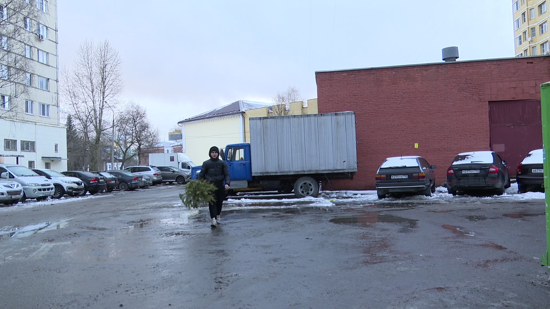 реутов, вертикалки, сбор елок, утиль, переработка, вторая жизнь елке,