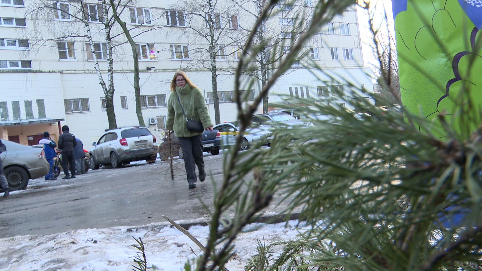 реутов, вертикалки, сбор елок, утиль, переработка, вторая жизнь елке,