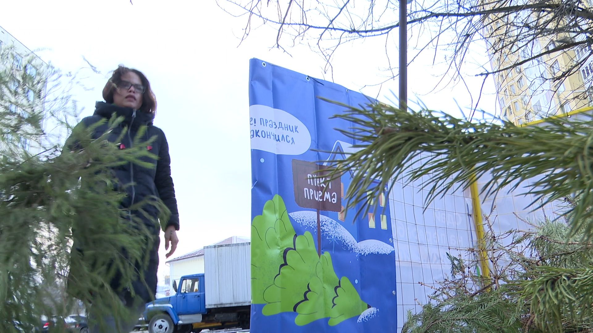 реутов, вертикалки, сбор елок, утиль, переработка, вторая жизнь елке,