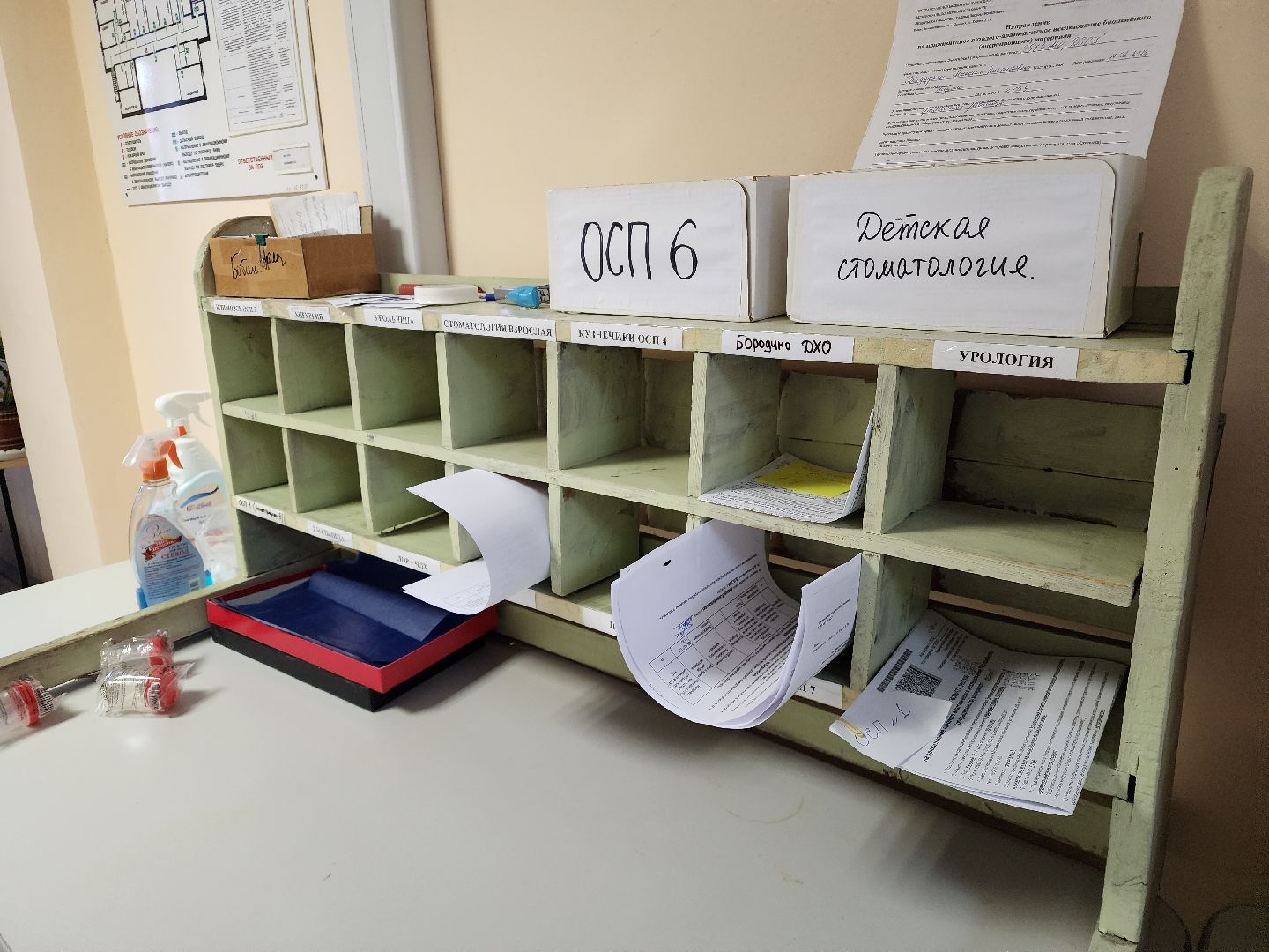 подольск, Патологоанатом, исследования, доктор,