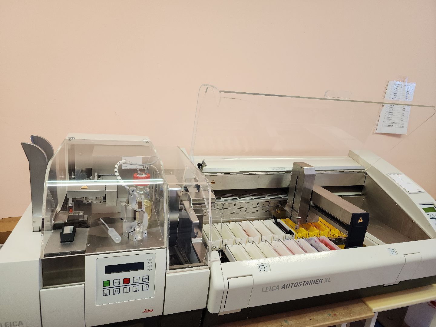 подольск, Патологоанатом, исследования, доктор,