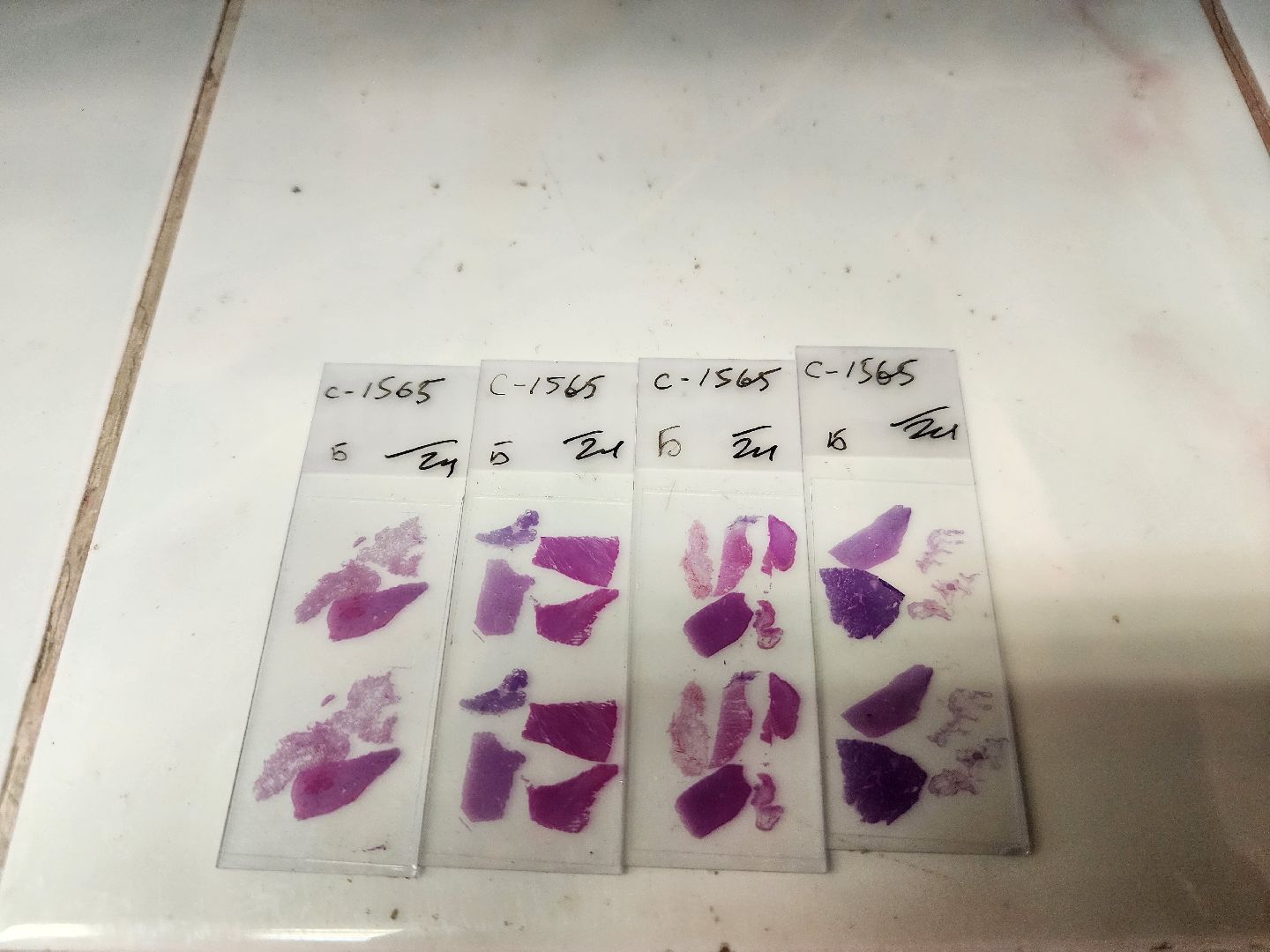 подольск, Патологоанатом, исследования, доктор,