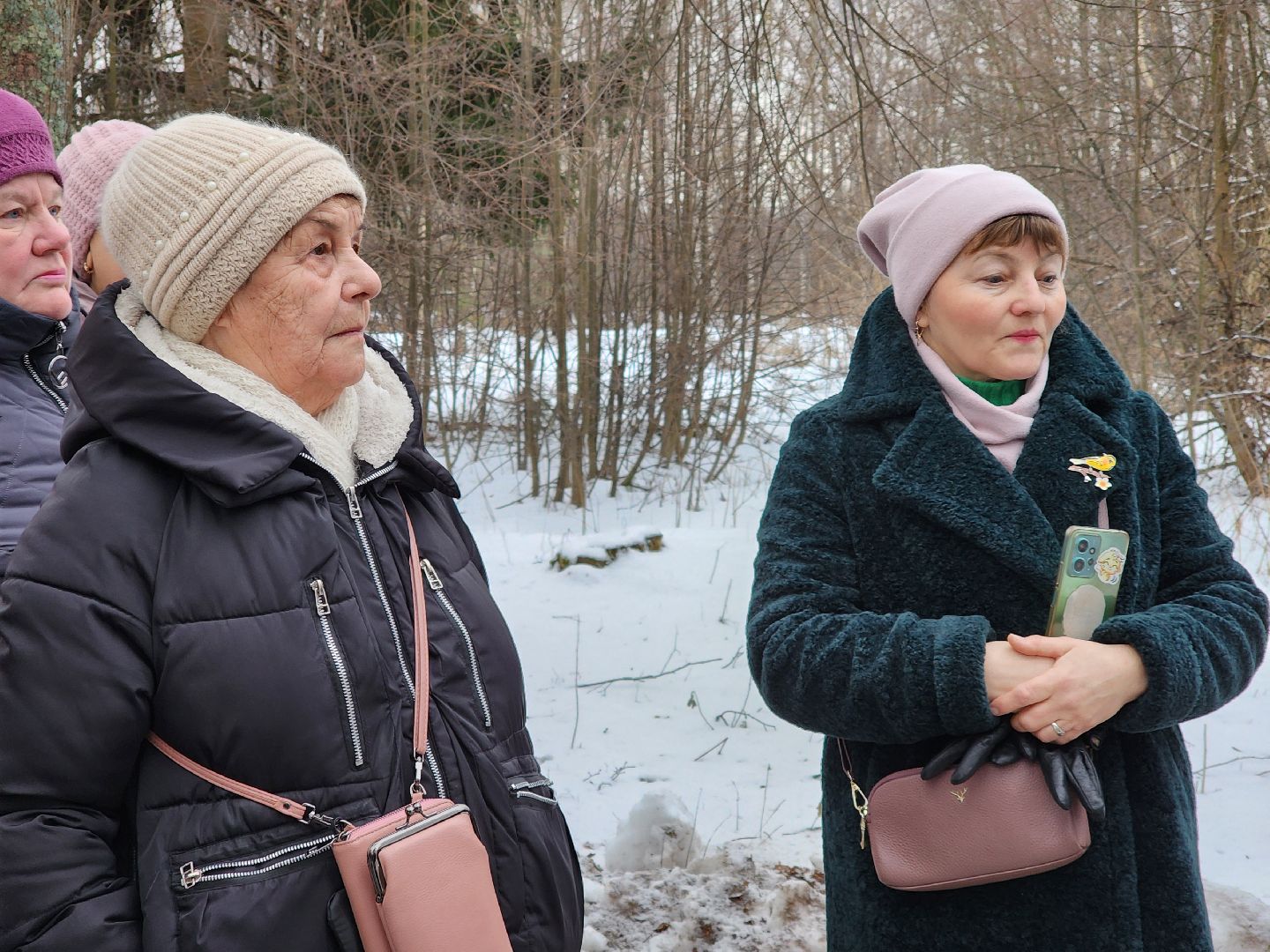 жители, общество, ногинск, глава округа, благоустройство, памятник вов, вертикалки,