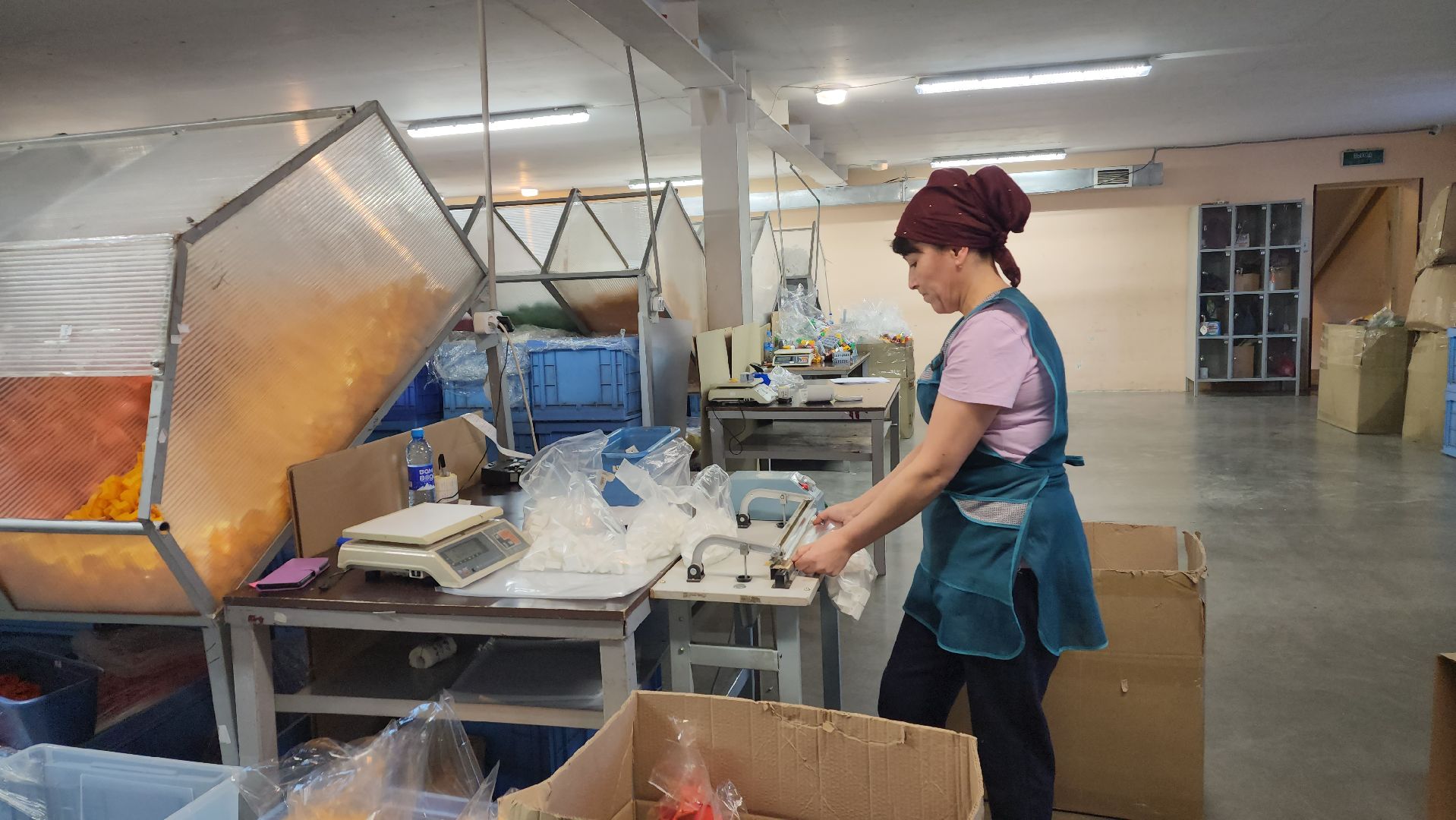 пушкино, конструкторы, импортозамещение, отечественное оборудование, компания, развитие производства, товары для детей,безопасность детей, детсад, уникальная работа,