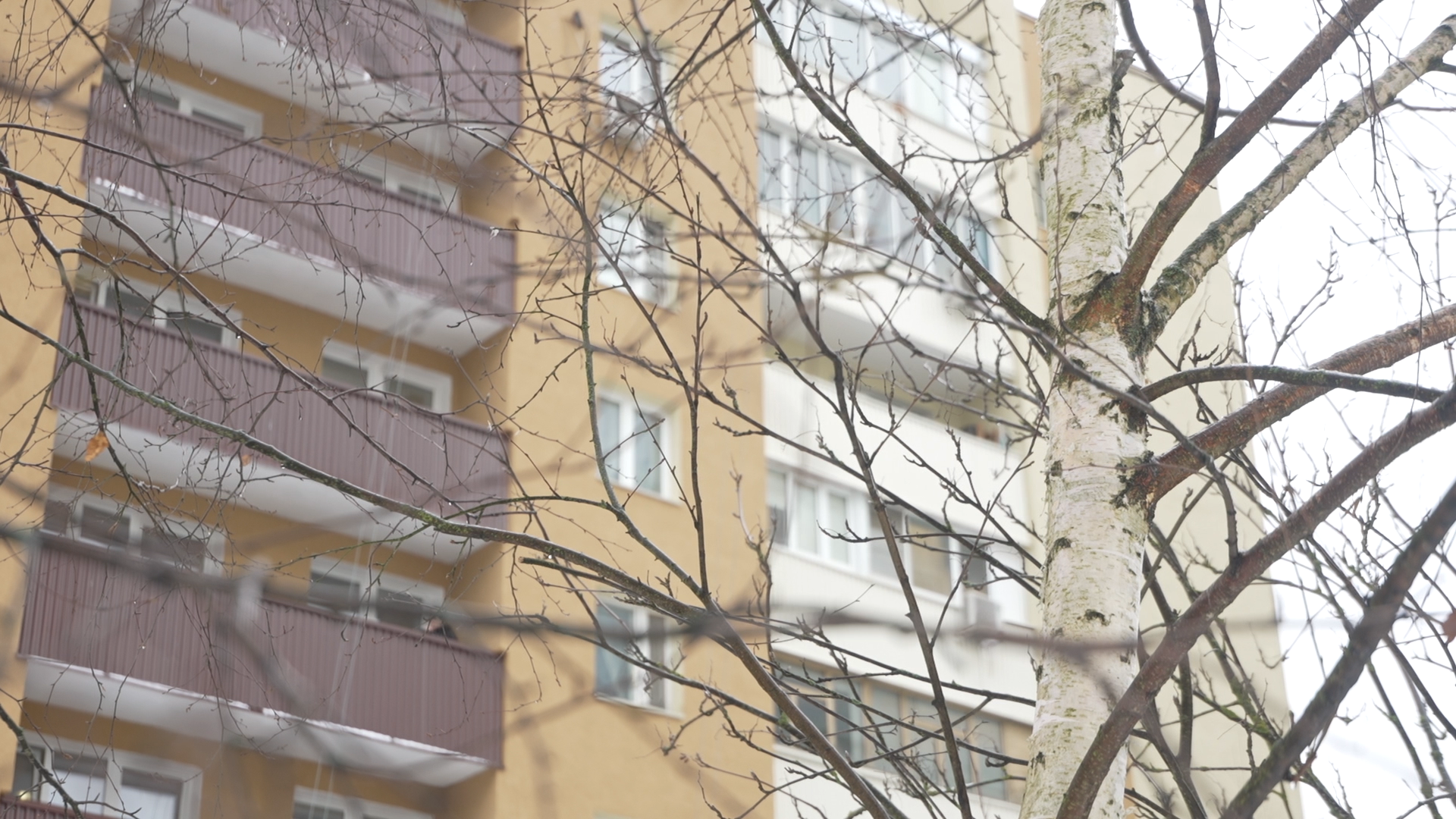 капитальный ремонт МКД, Власиха капремонт МКД, ремонт дома Заозерная 12, фонд капитального ремонта МО, декоративная штукатурка фасад,