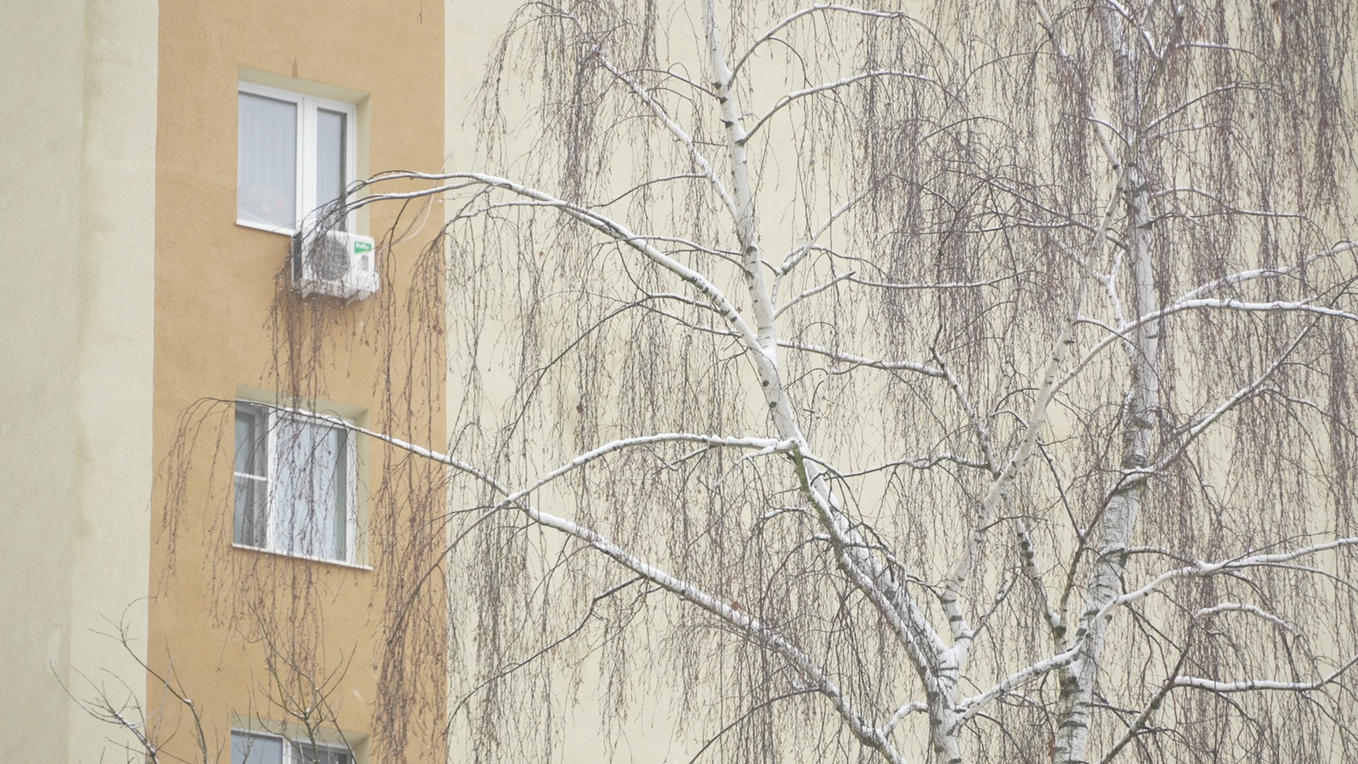 капитальный ремонт МКД, Власиха капремонт МКД, ремонт дома Заозерная 12, фонд капитального ремонта МО, декоративная штукатурка фасад,