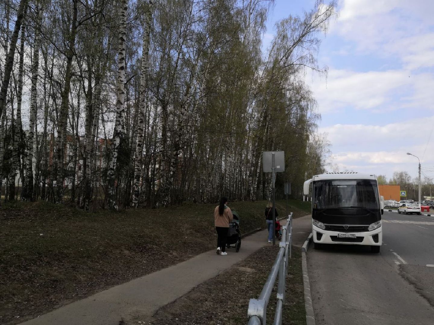 берёзовая роща, дедовск, парк, благоустройство