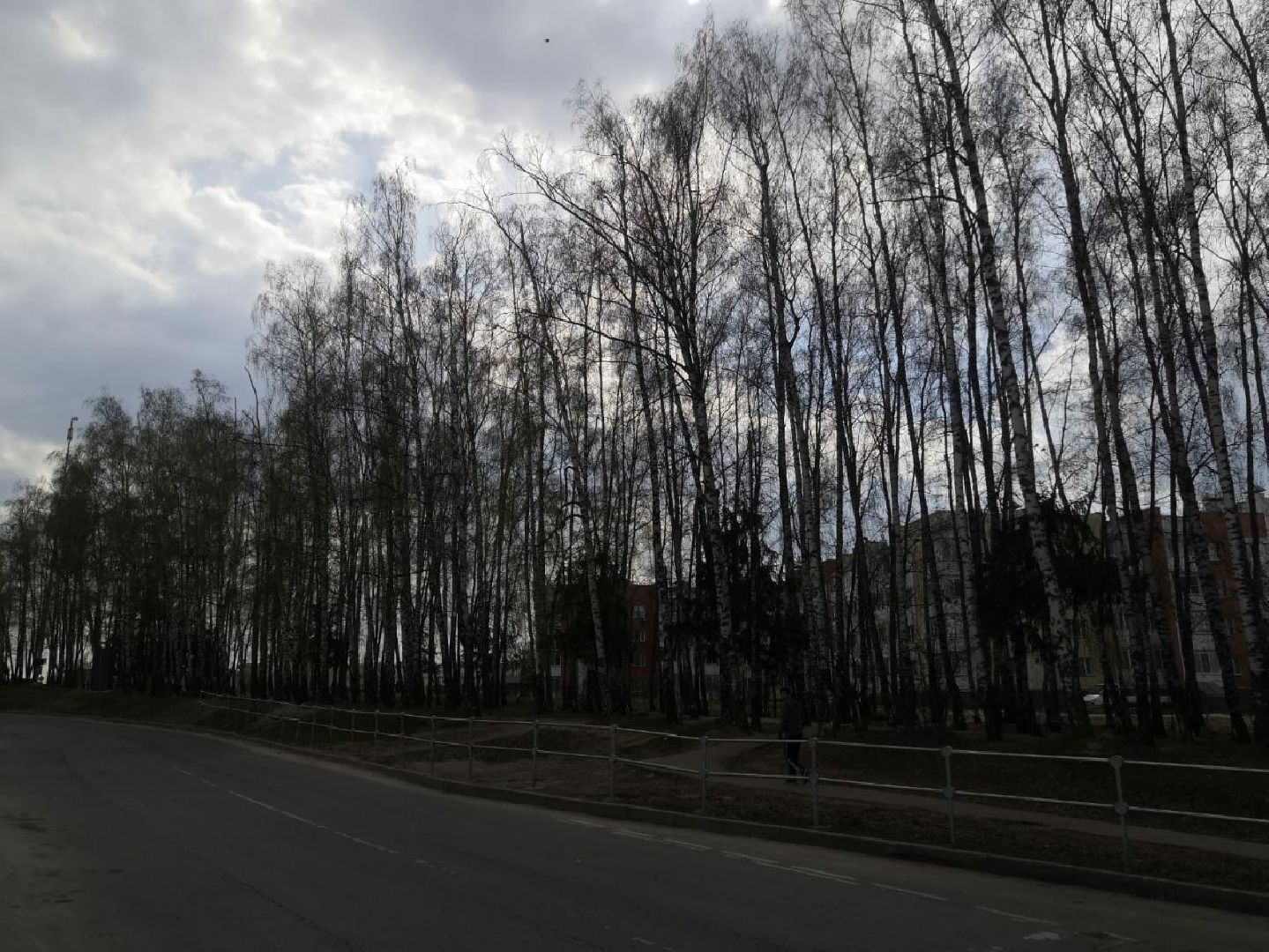 берёзовая роща, дедовск, парк, благоустройство