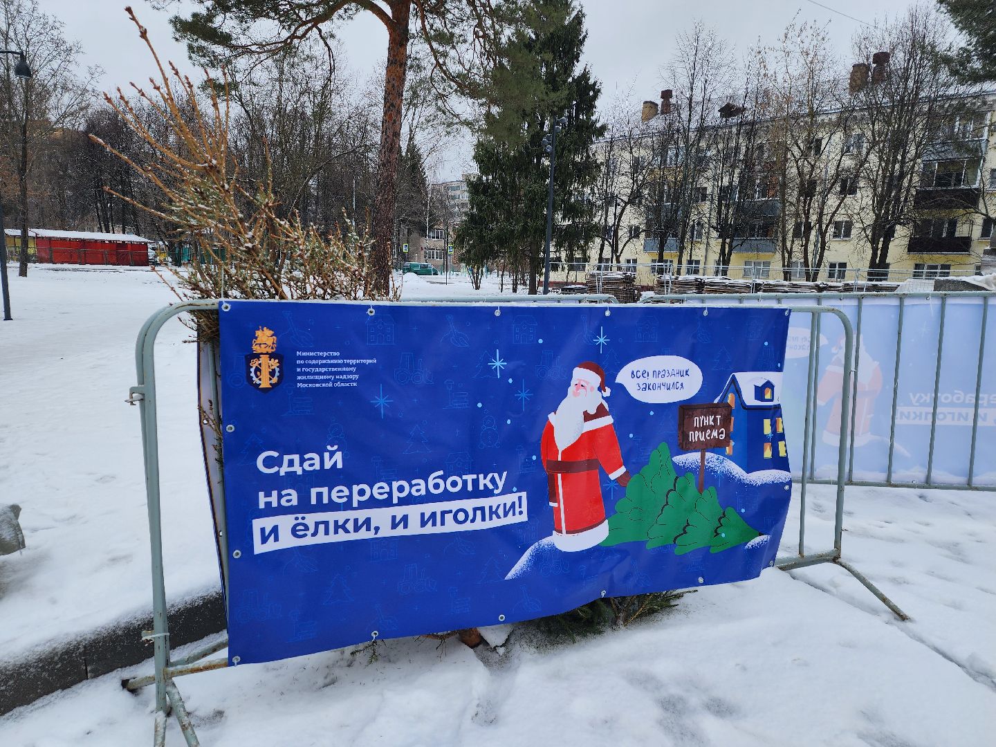 Дубна, Переработка, Деревья, Елки, ЖКХ,