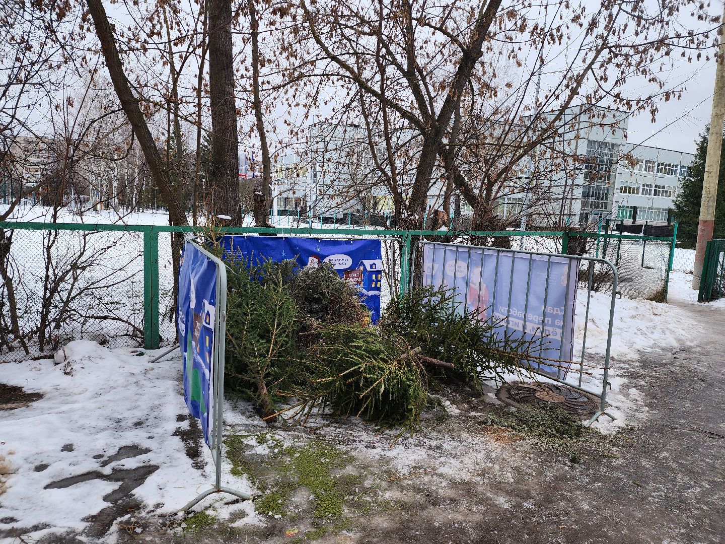 Дубна, Переработка, Деревья, Елки, ЖКХ,