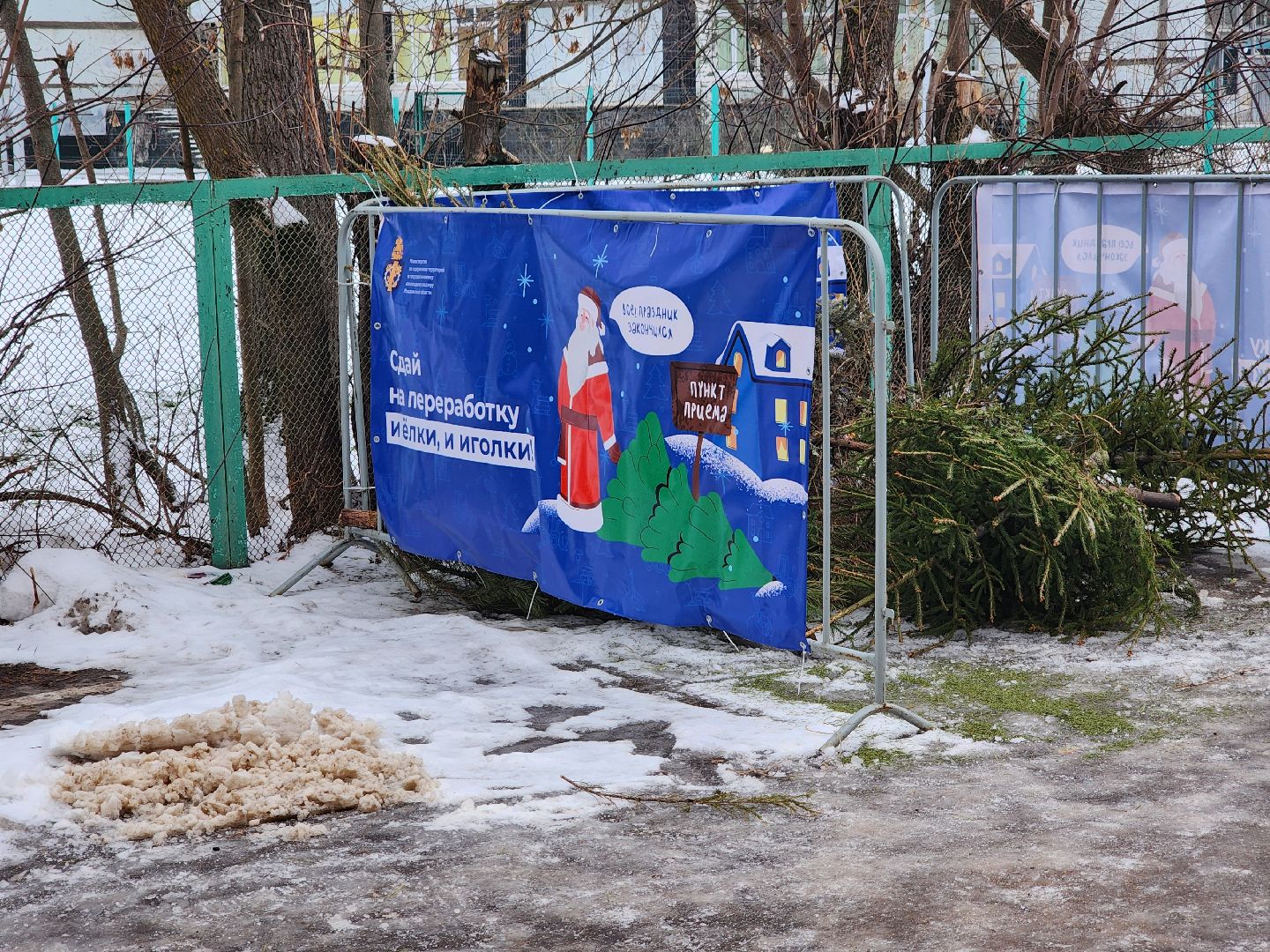 Дубна, Переработка, Деревья, Елки, ЖКХ,