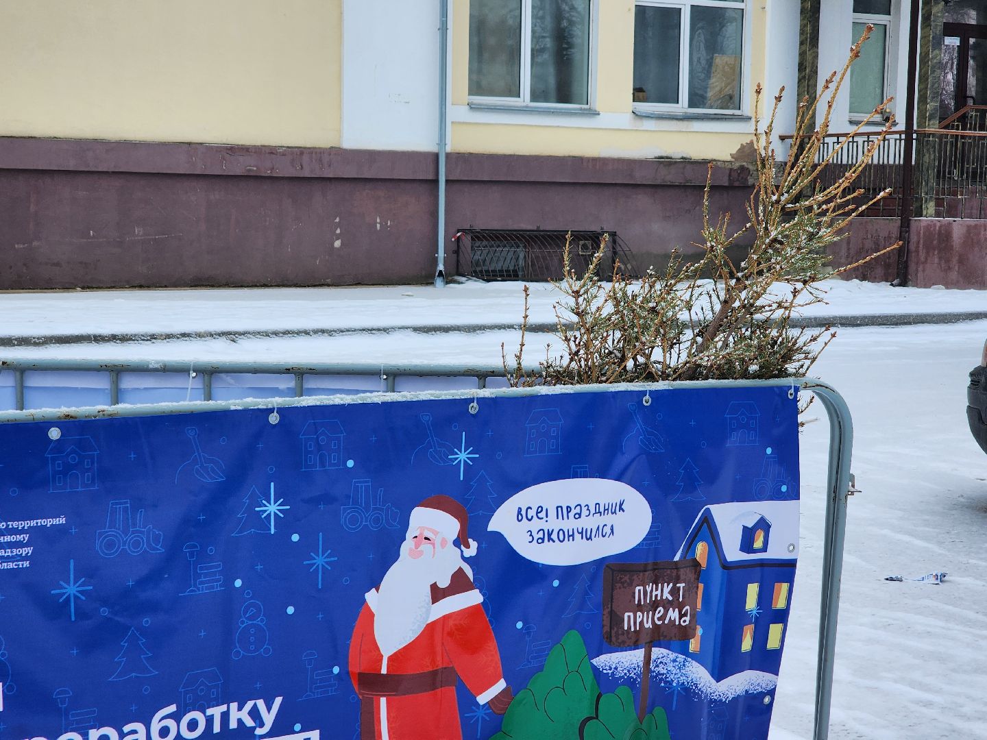 Дубна, Переработка, Деревья, Елки, ЖКХ,