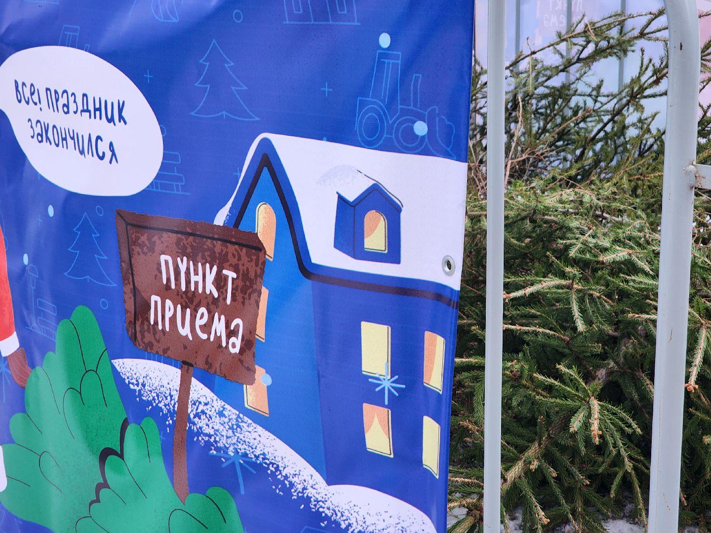 Дубна, Переработка, Деревья, Елки, ЖКХ,