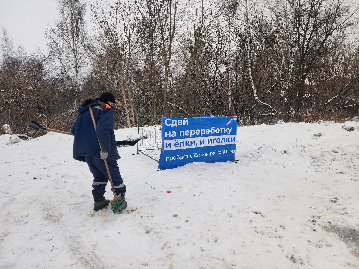 красноармейск, городской округ пушкинский, экоакция, елки на переработку, вертикалки,
