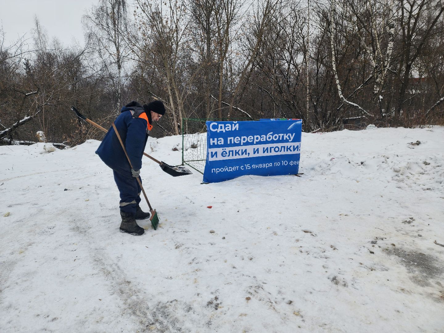 красноармейск, городской округ пушкинский, экоакция, елки на переработку, вертикалки,