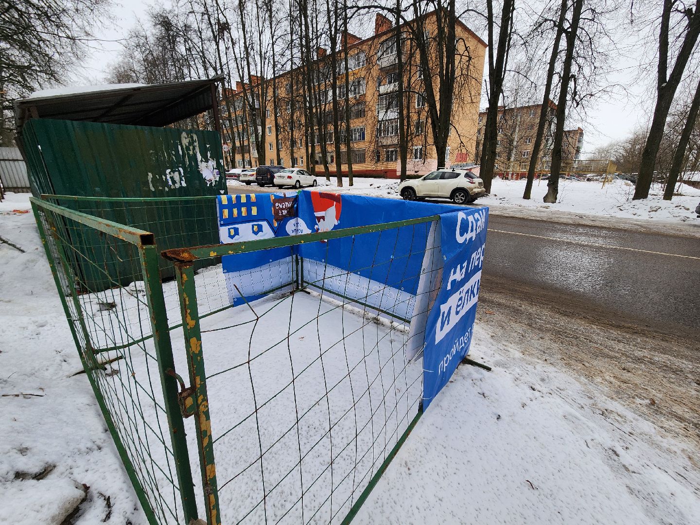 красноармейск, городской округ пушкинский, экоакция, елки на переработку, вертикалки,