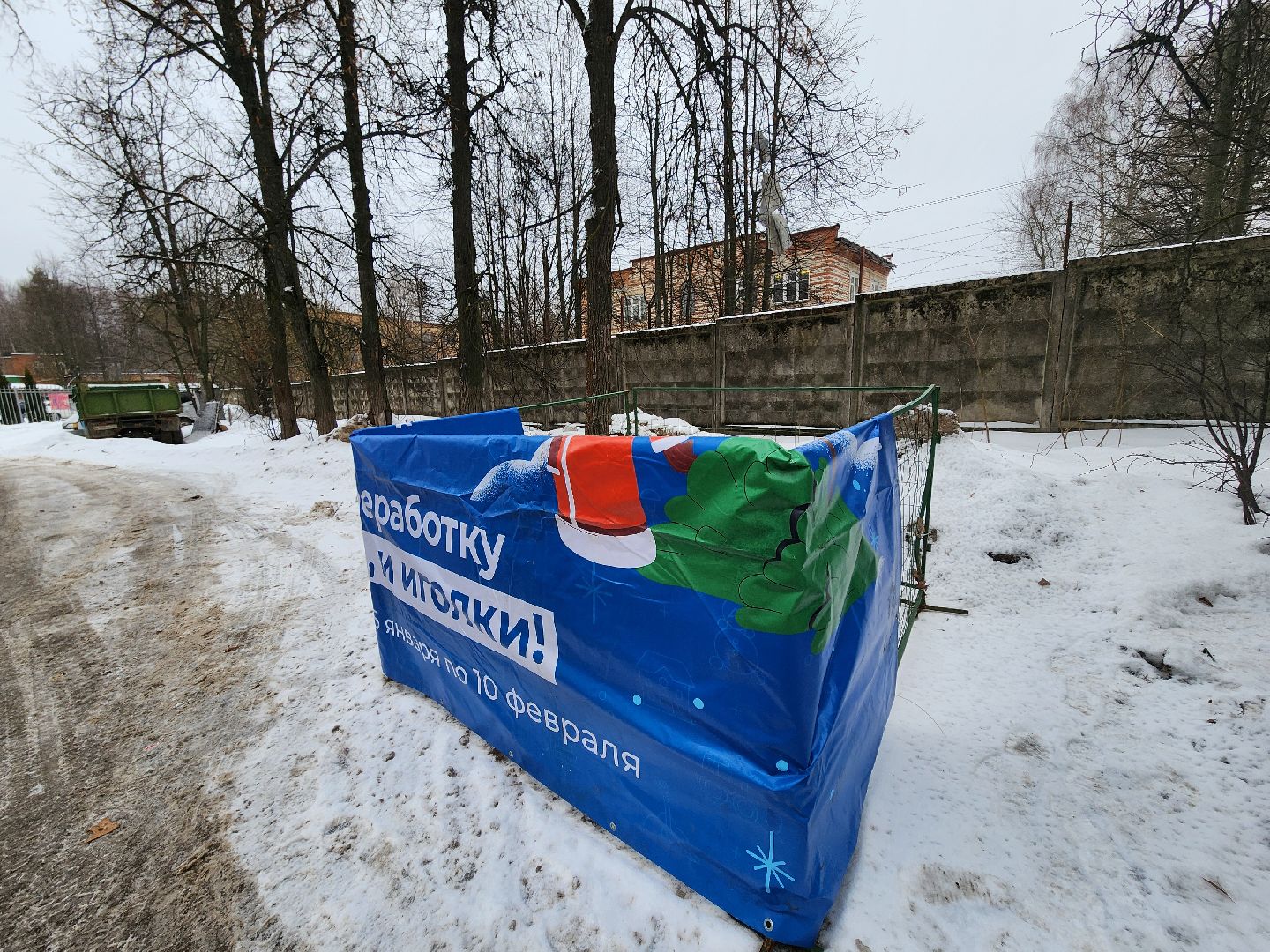 красноармейск, городской округ пушкинский, экоакция, елки на переработку, вертикалки,