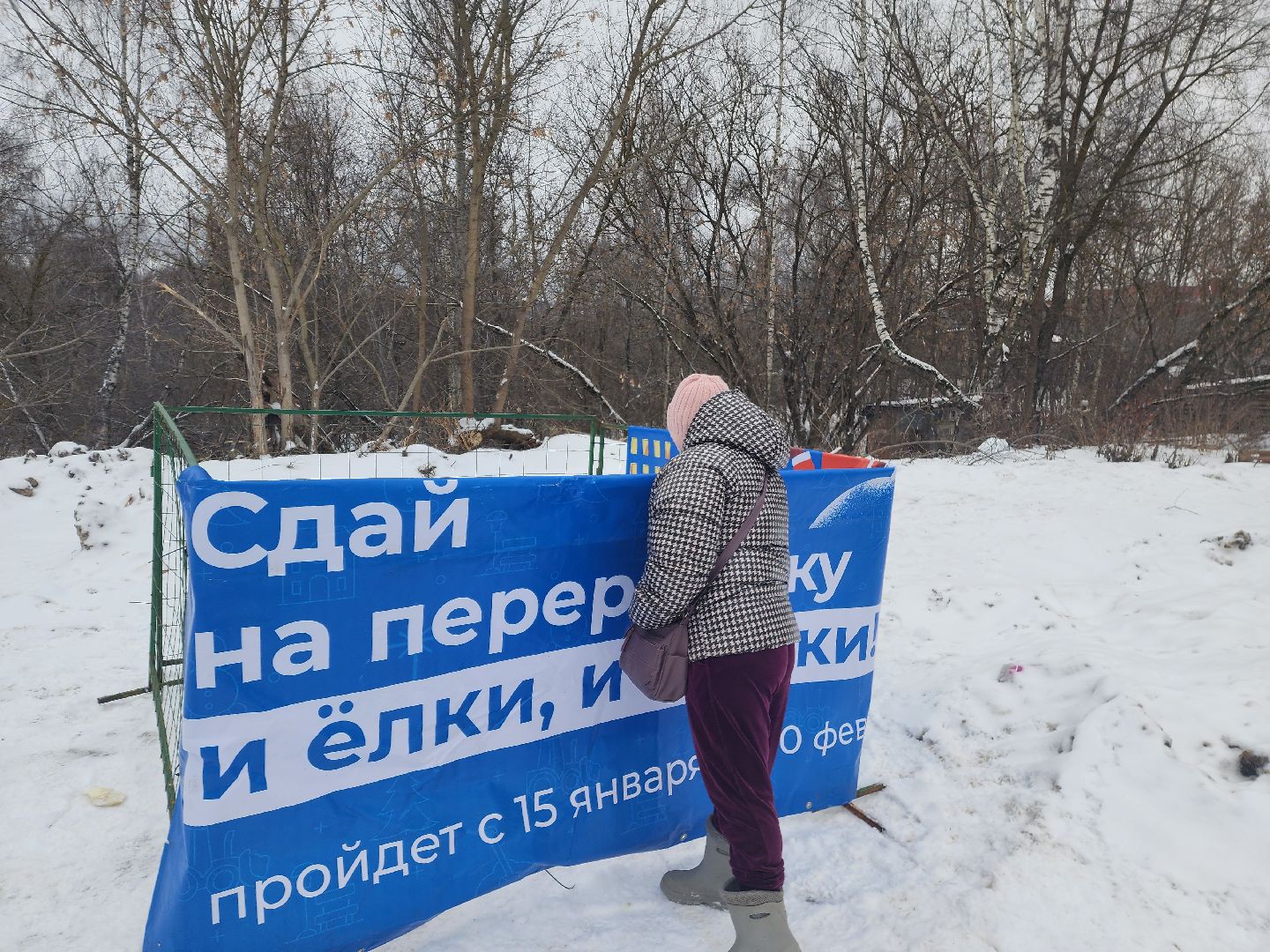 красноармейск, городской округ пушкинский, экоакция, елки на переработку, вертикалки,
