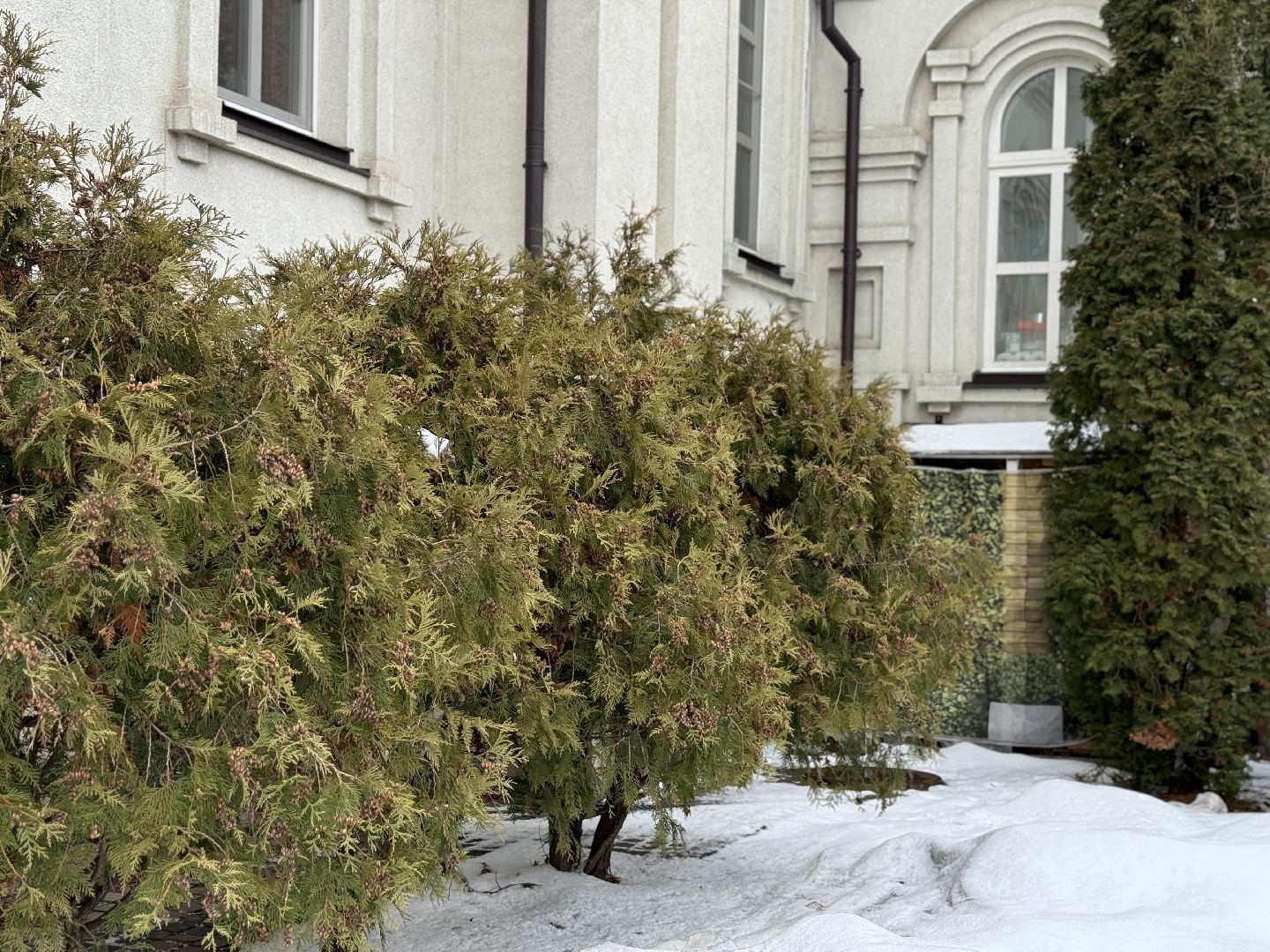 Преображенский храм, крещение господне, Советы от батюшки, Купель,