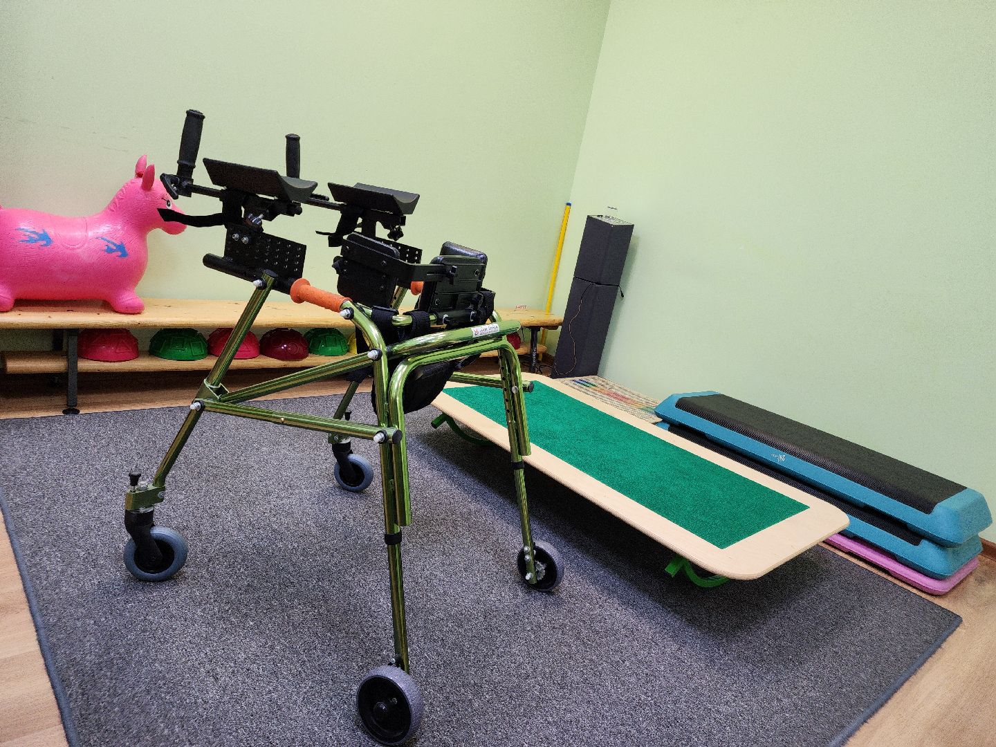 медицина, социальная помощь, инвалидность, дети с овз,