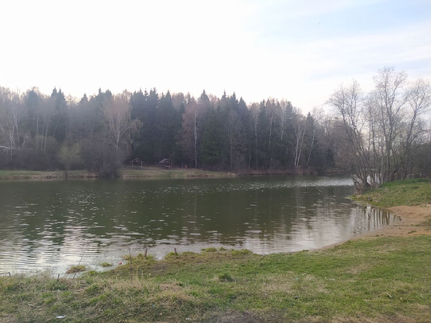 пруд, дедовск, пляж, гидроузел, благоустройство