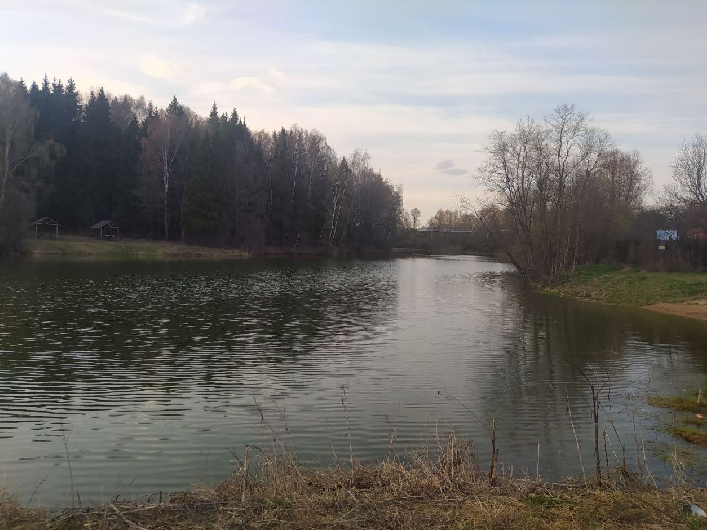 пруд, дедовск, пляж, гидроузел, благоустройство