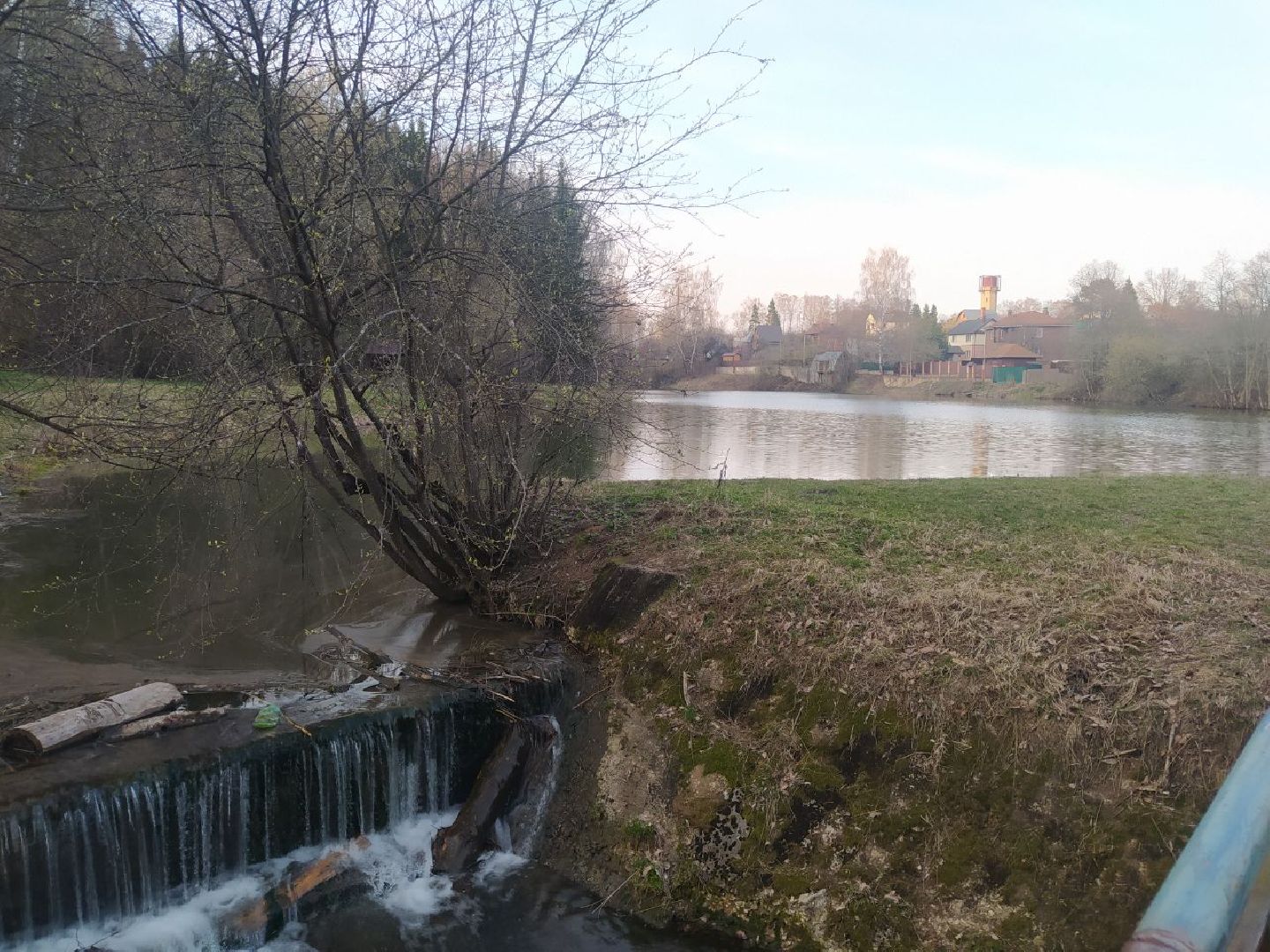 пруд, дедовск, пляж, гидроузел, благоустройство