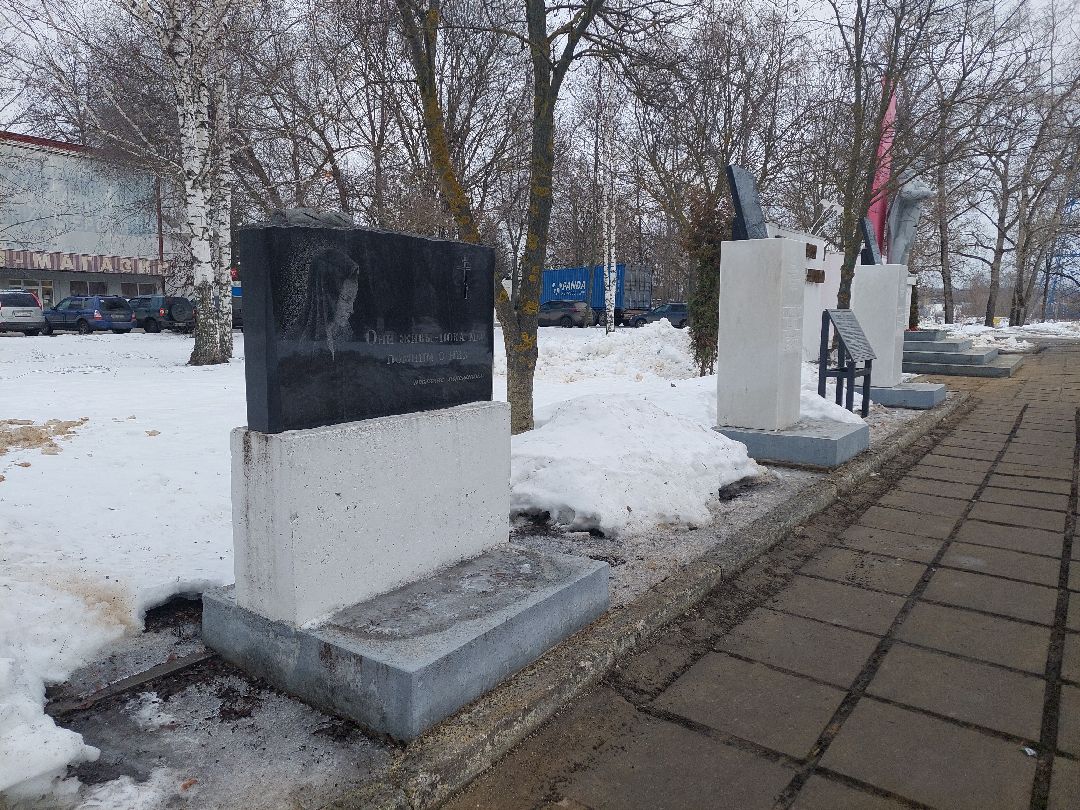 Воскресенск, общество