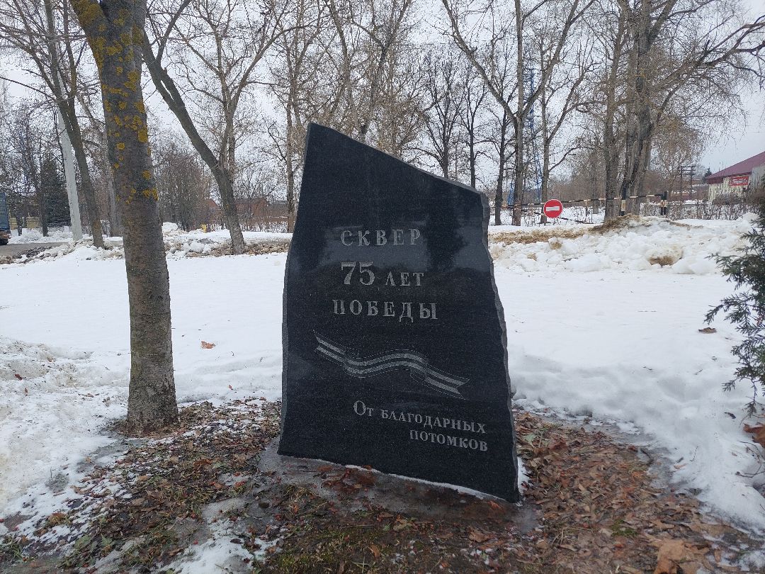 Воскресенск, общество