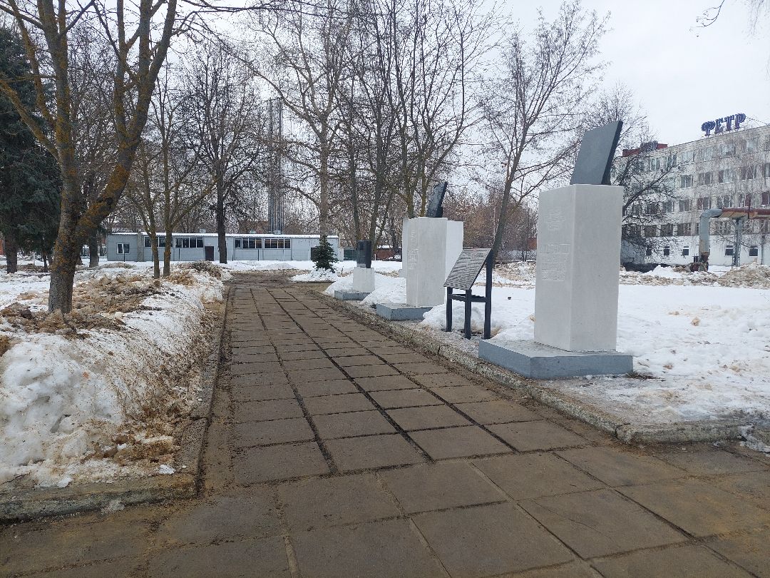 Воскресенск, общество