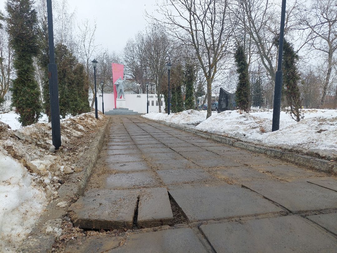 Воскресенск, общество