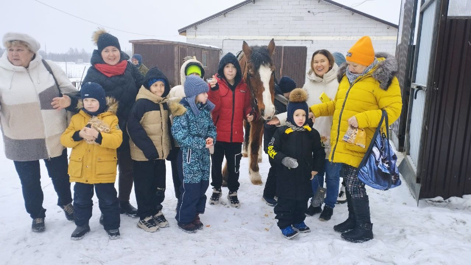 дети, лошади, клуб, иппотерапия, дети с овз, инвалиды, социализация детей, социальная адаптация,