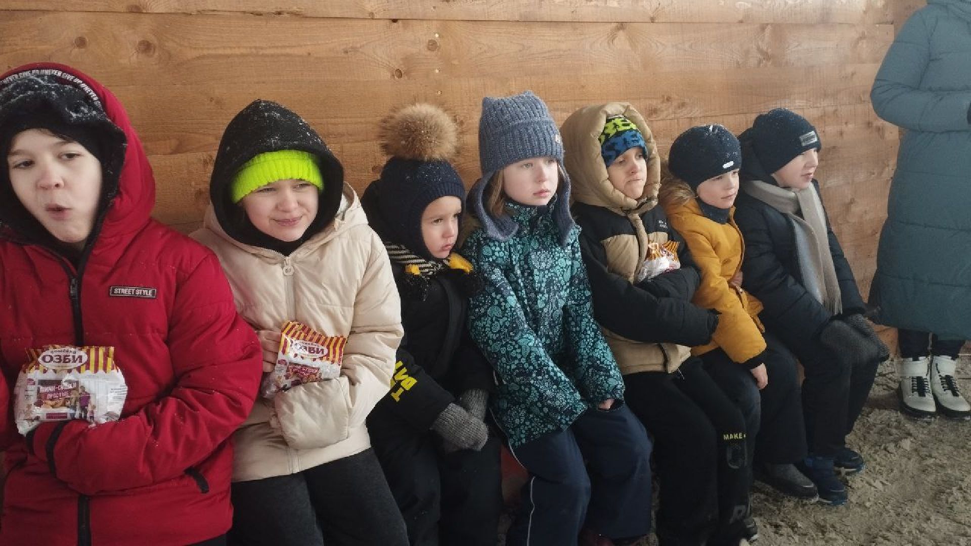 дети, лошади, клуб, иппотерапия, дети с овз, инвалиды, социализация детей, социальная адаптация,