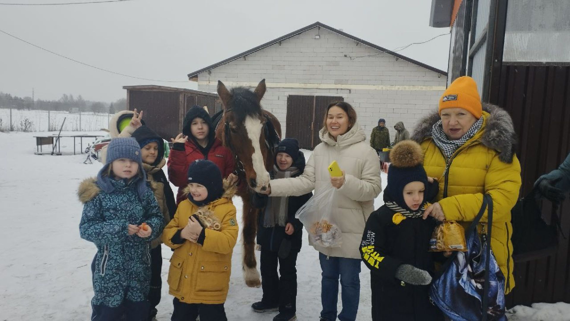 дети, лошади, клуб, иппотерапия, дети с овз, инвалиды, социализация детей, социальная адаптация,