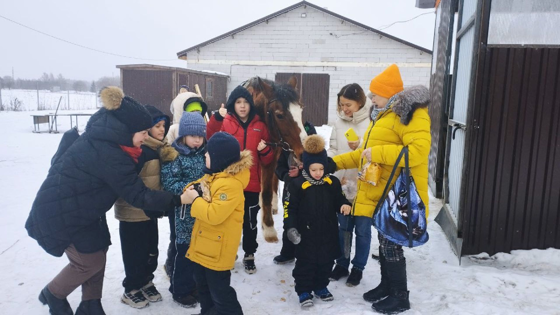 дети, лошади, клуб, иппотерапия, дети с овз, инвалиды, социализация детей, социальная адаптация,