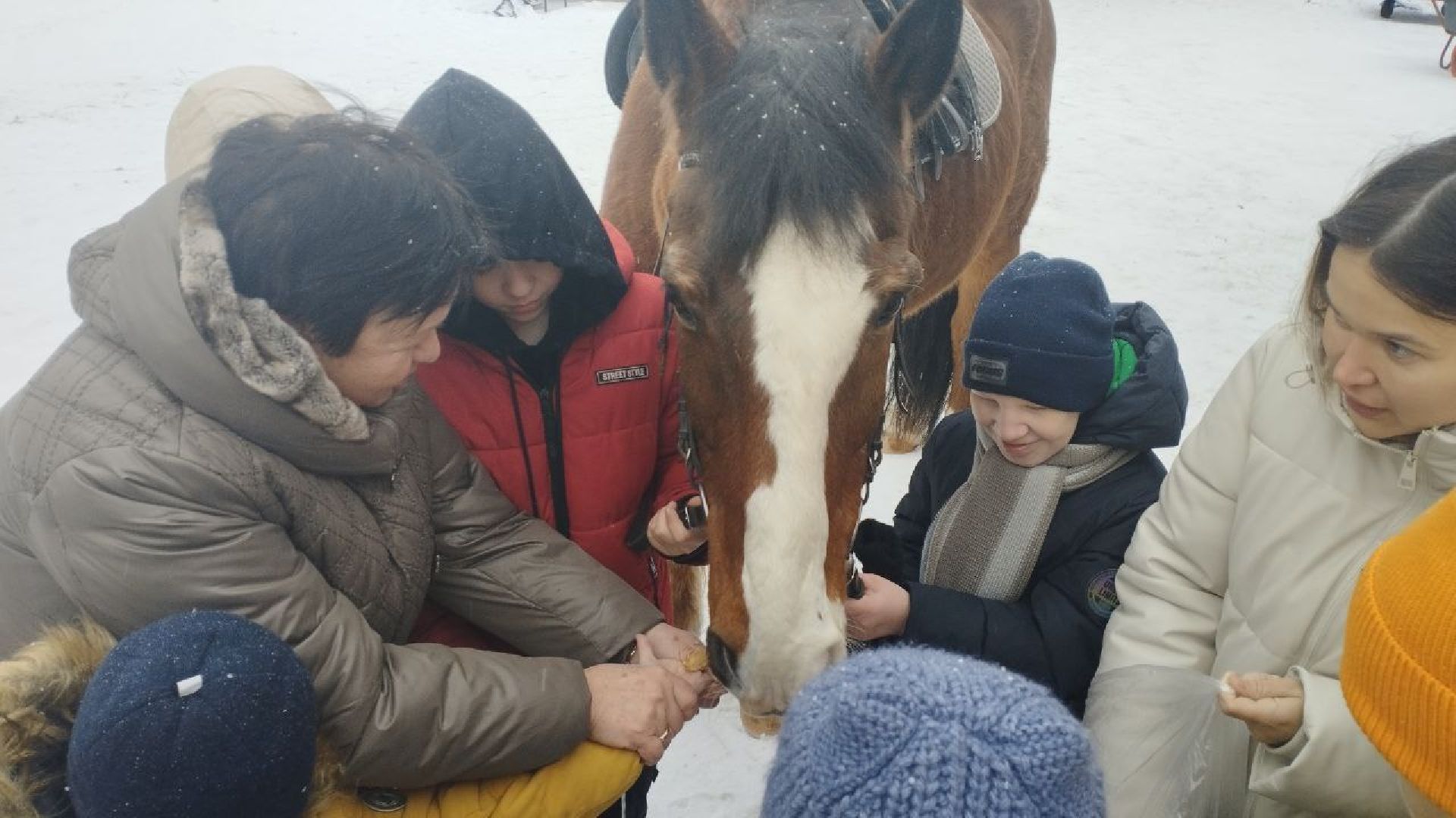 дети, лошади, клуб, иппотерапия, дети с овз, инвалиды, социализация детей, социальная адаптация,