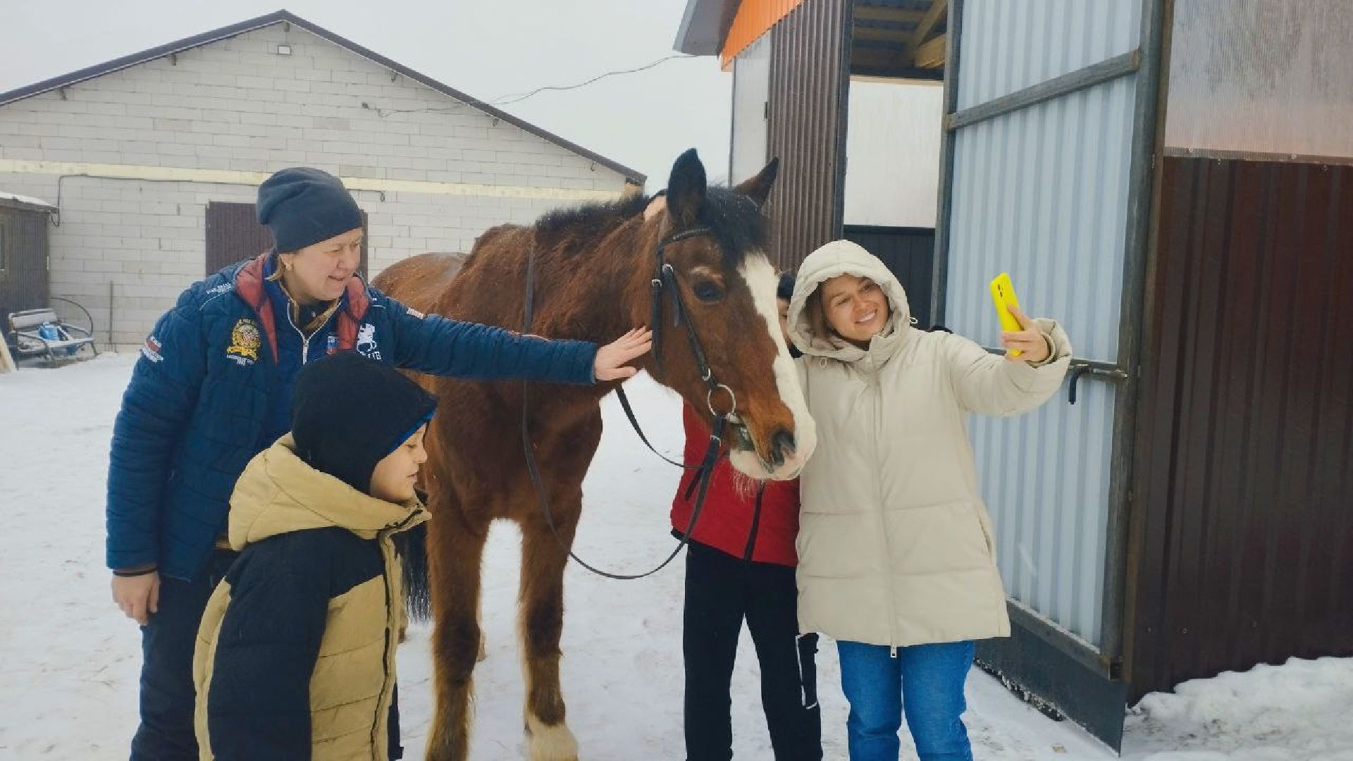 дети, лошади, клуб, иппотерапия, дети с овз, инвалиды, социализация детей, социальная адаптация,