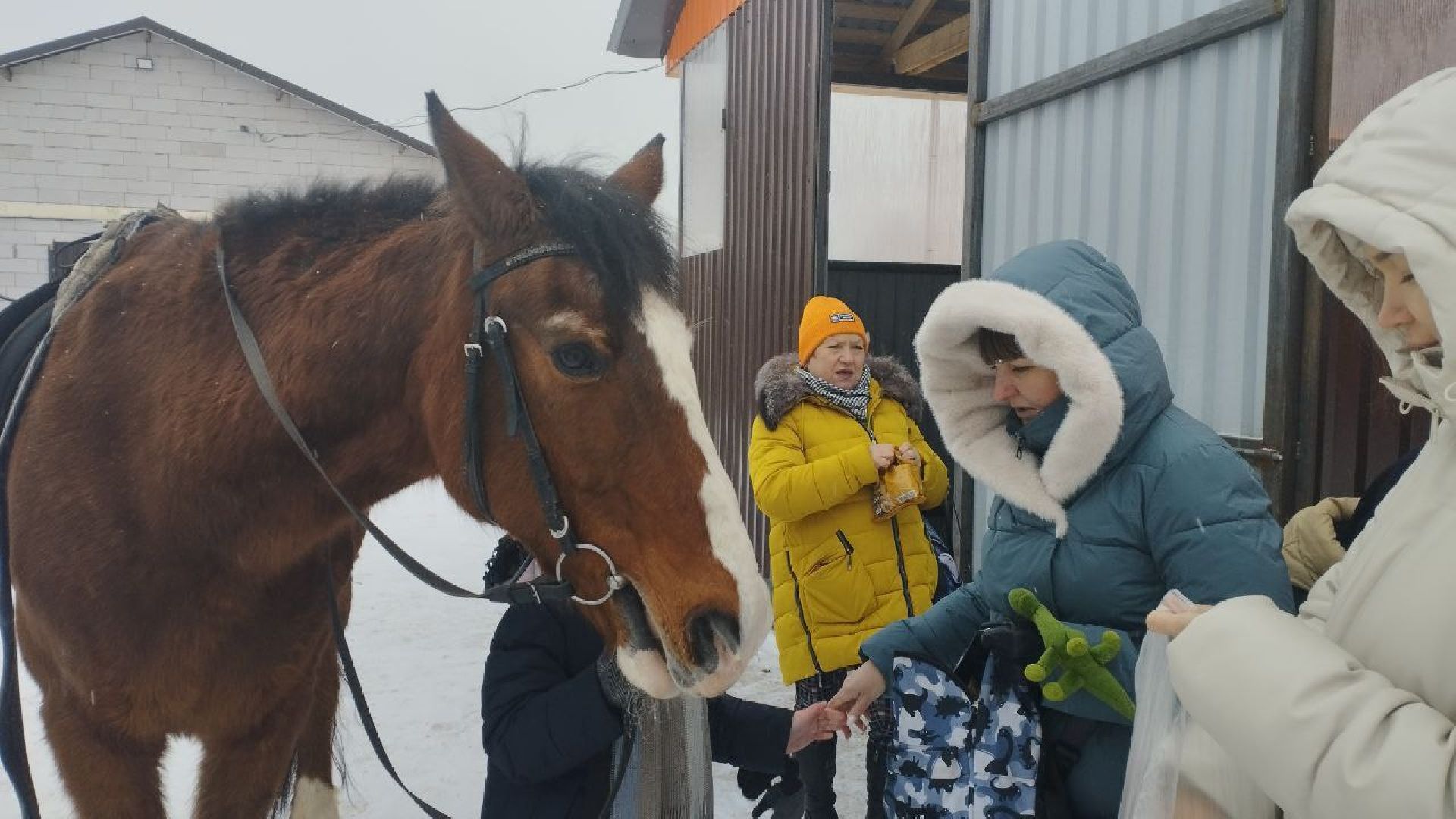 дети, лошади, клуб, иппотерапия, дети с овз, инвалиды, социализация детей, социальная адаптация,