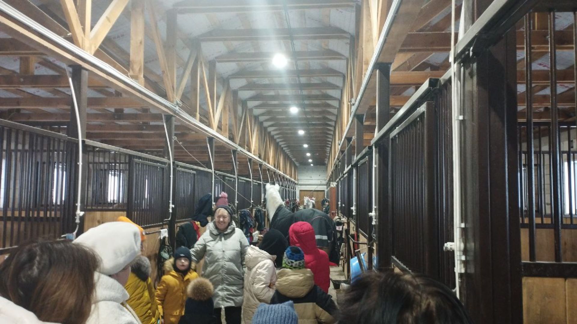 дети, лошади, клуб, иппотерапия, дети с овз, инвалиды, социализация детей, социальная адаптация,