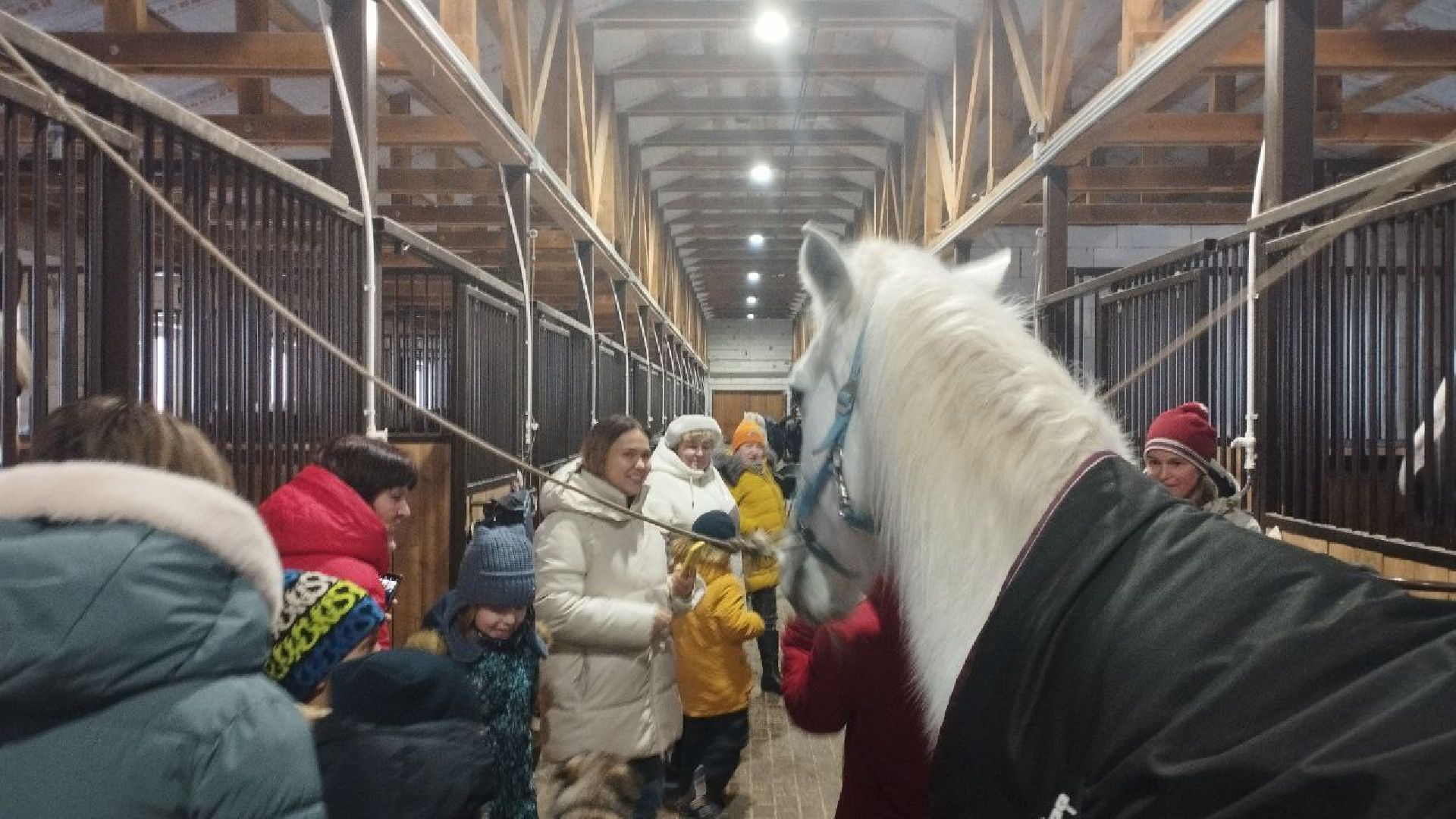 дети, лошади, клуб, иппотерапия, дети с овз, инвалиды, социализация детей, социальная адаптация,