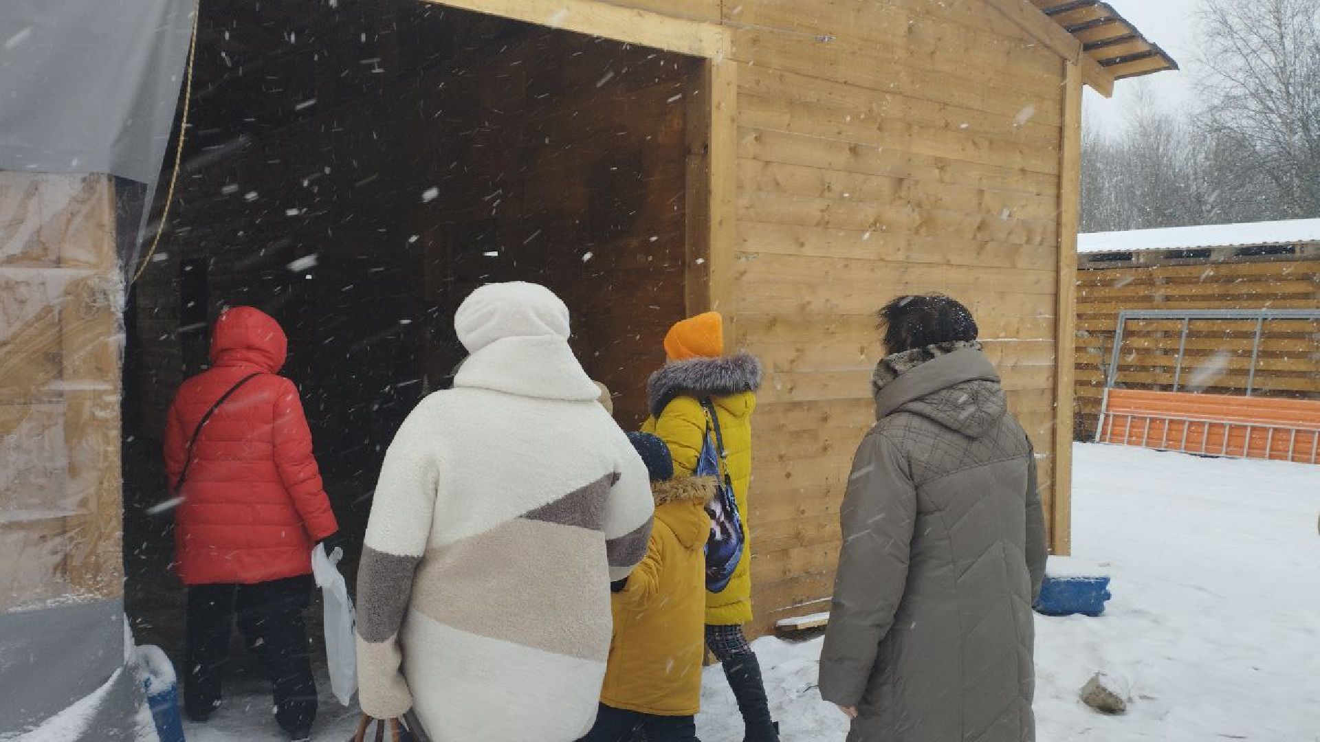 дети, лошади, клуб, иппотерапия, дети с овз, инвалиды, социализация детей, социальная адаптация,