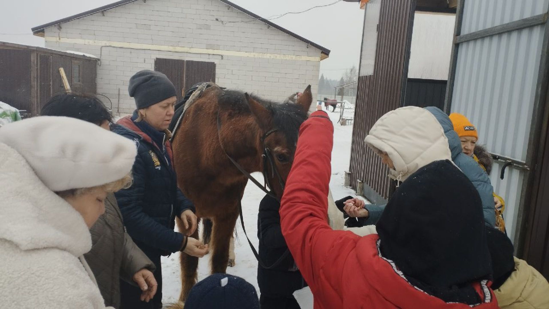 дети, лошади, клуб, иппотерапия, дети с овз, инвалиды, социализация детей, социальная адаптация,