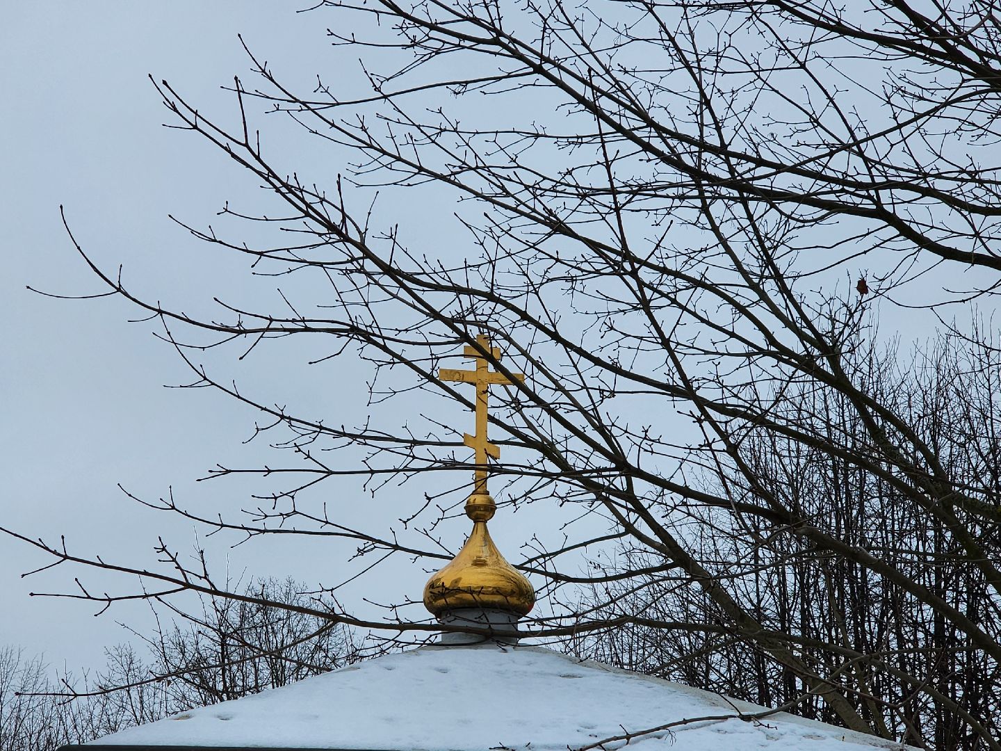 крещение господне, крещенские купания, мытищи, погода,