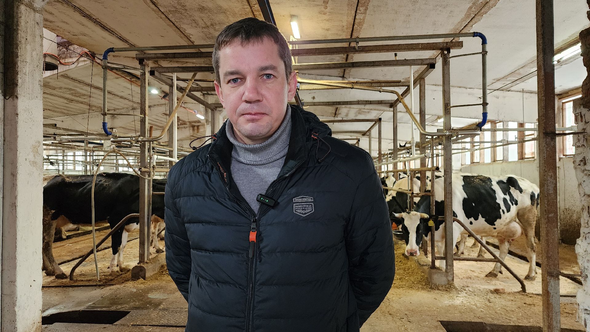 животноводство, производство молока, АО Ногинское, Обухово, Богородский городской округ,