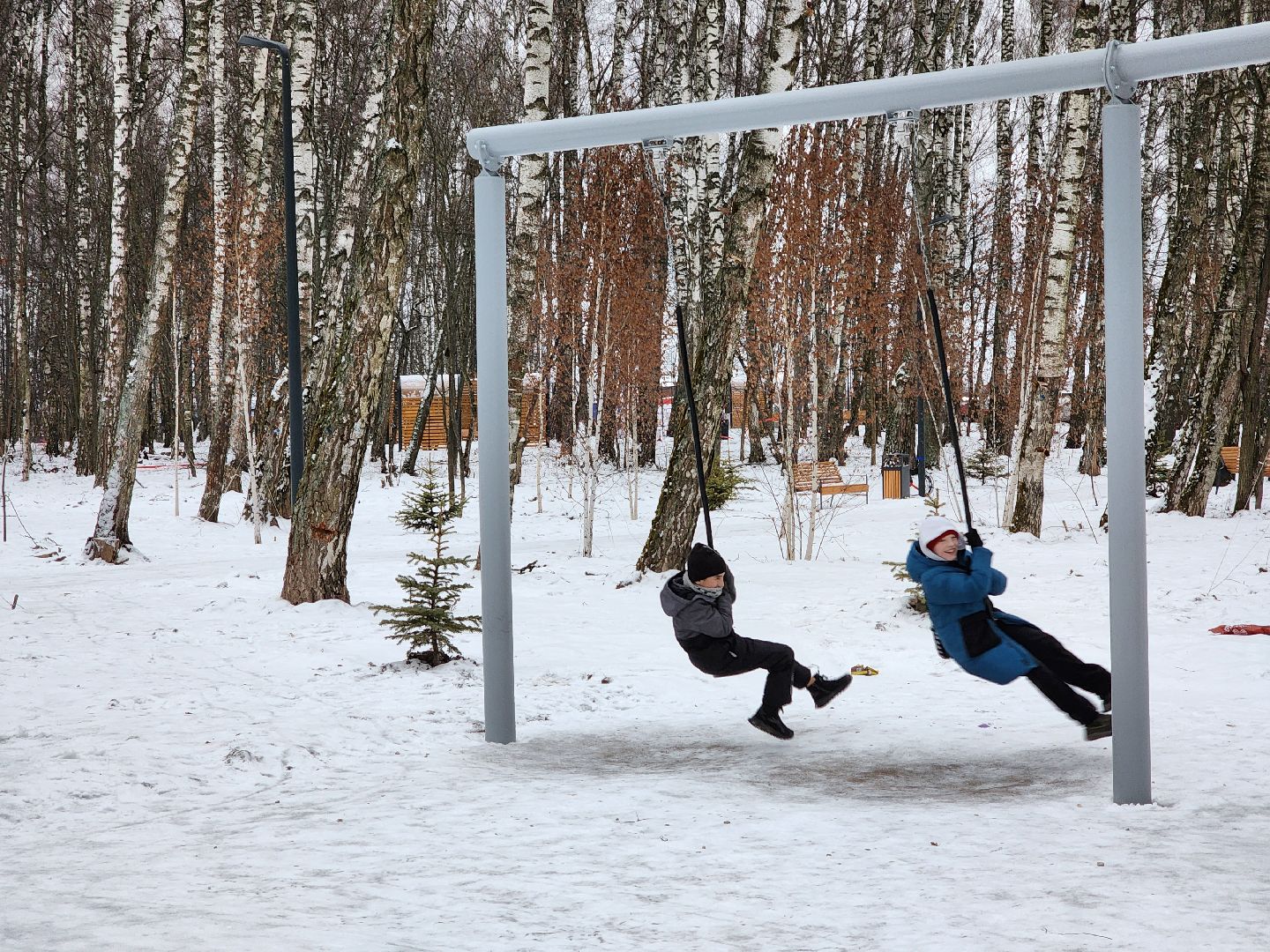 Чехов, микрорайон Губернский, лесопарк, парковая зона отдыха, строительство, благоустройство, детские площадки, спортивные площадки, беседки, программа Парки в лесу, губернатор московской области, вертикалки,