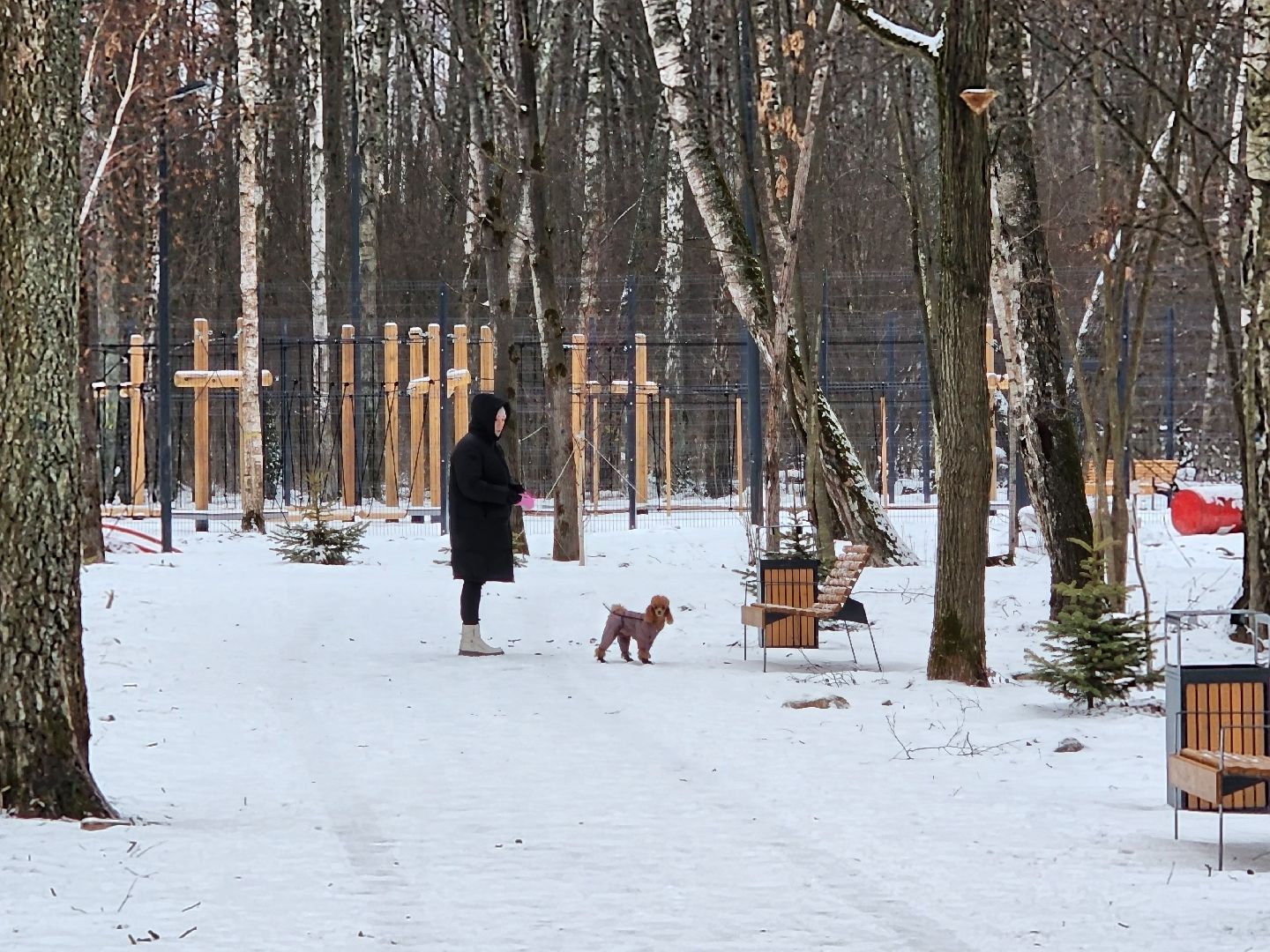 Чехов, микрорайон Губернский, лесопарк, парковая зона отдыха, строительство, благоустройство, детские площадки, спортивные площадки, беседки, программа Парки в лесу, губернатор московской области, вертикалки,
