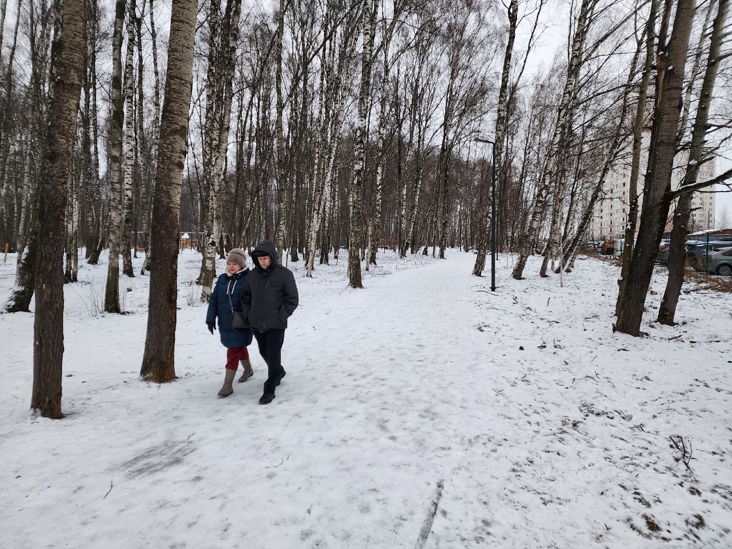 Чехов, микрорайон Губернский, лесопарк, парковая зона отдыха, строительство, благоустройство, детские площадки, спортивные площадки, беседки, программа Парки в лесу, губернатор московской области, вертикалки,